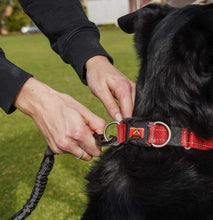 Load image into Gallery viewer, Pupnaps Hands-Free Leash